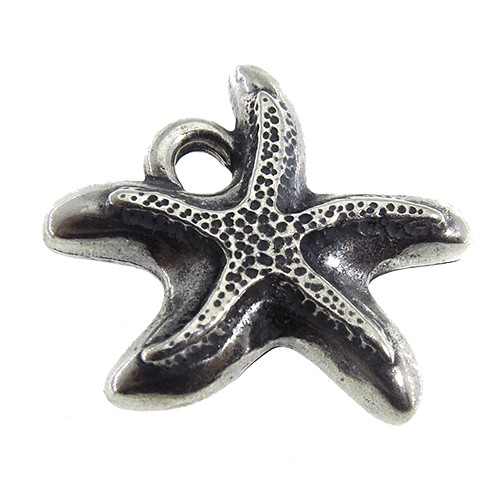 תליון כוכב ים קטן מחוספס ציפויים שונים